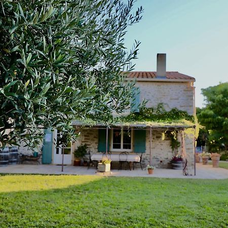 Maison De Margot Peyriac-Minervois Exteriör bild