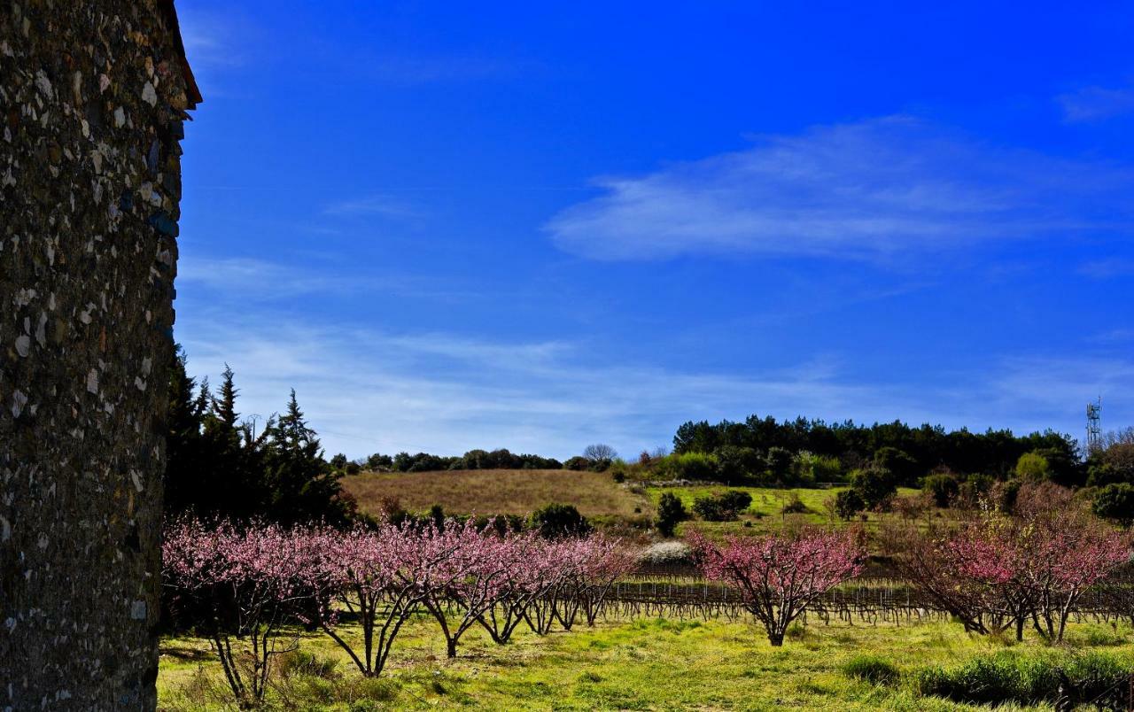 Maison De Margot Peyriac-Minervois Exteriör bild