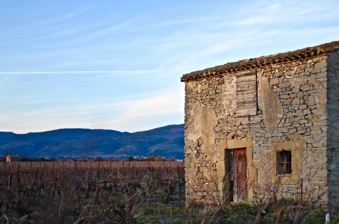 Maison De Margot Peyriac-Minervois Exteriör bild
